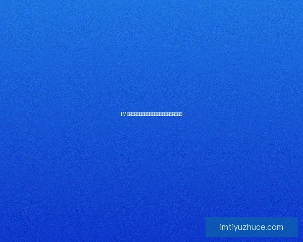 IM体育入口登录全新体验攻略详解安全快捷操作指南