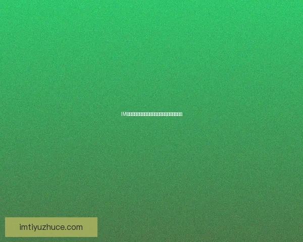 IM体育入口登录全新体验攻略详解安全快捷操作指南