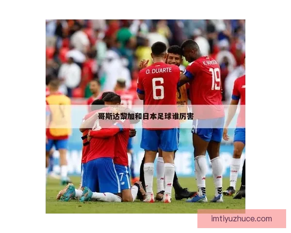 IM体育入口登录全新体验攻略详解安全快捷操作指南