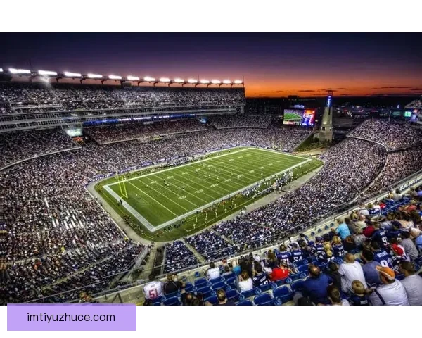 美加墨世界杯竞猜投注攻略揭秘及热门投注策略分析