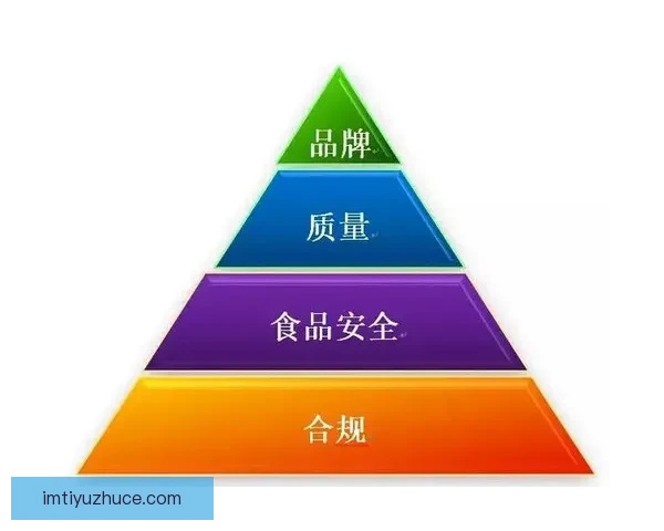 全面解析体育竞猜活动玩法策略与风险管理技巧